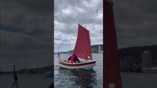 Welsford Sherpa ‘Sea Pup’ Wooden Boat Guild Tasmania Christmas ‘23 BBQ dinghysailing woodenboat [upl. by Anai]