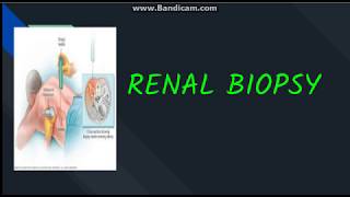 Renal Biopsy Indication contraindication Procedure and complications [upl. by Aridni]