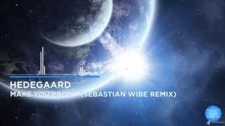 Hedegaard  Make You Proud Sebastian Wibe Remix [upl. by Otilia43]