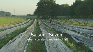 Saison  Sezon Leben von der Landwirtschaft [upl. by Fineman]