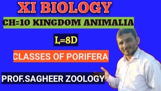 Classes of Porifera Lec8D XI BIOLOGY profsagheer sagheer Zoology [upl. by Arhsub933]