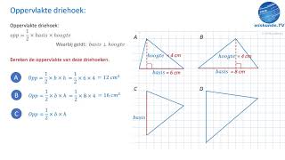 oppervlakte driehoeken berekenen  wiskunde tv [upl. by Zobkiw202]