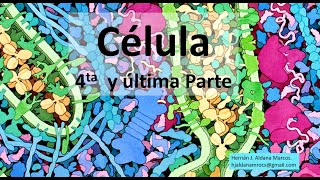 Célula 4 parte y última [upl. by Aicilat]