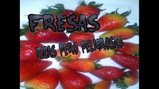 CÓMO LAVAR DESINFECTAR Y CONSERVAR LAS FRESAS Mantener las fresas frescas por mucho tiempo [upl. by Mohandis]