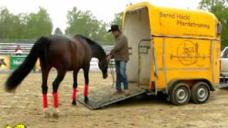 Bernd Hackl  Verladetraining auf der Pferd International 2010 [upl. by Llerud38]