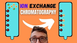 Introduction to Ion Exchange Chromatography IEX [upl. by Lerraj]