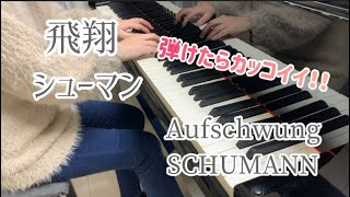 飛翔 シューマンAufschwung SCHUMANN [upl. by Leahcym]