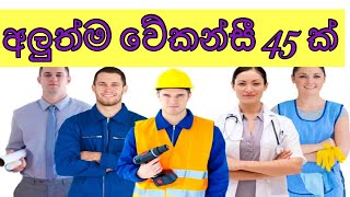 job vacancy 2024job vacancies Job guide sri lanka job interview jobs at homegoverment jobs [upl. by Notseh]