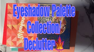 Eyeshadow palette collection and declutter part 1 Fall 2024🍁 [upl. by Sheley]