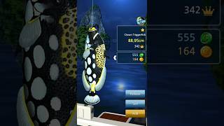 Catching Tiger fish  Fishing Hook game  gaming [upl. by Intirb]