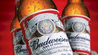 The Untold Truth Of Budweiser [upl. by Yhtir]