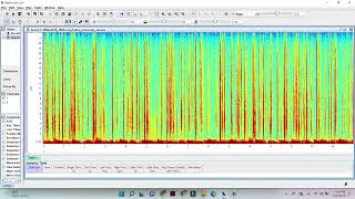 Oyster Toadfish Vocalization [upl. by Renado]