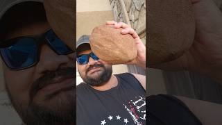 అమెరికాలో 15 kg Sapota Mamey sapote in USA అంత తియ్యగా అయితే ఏమీలేదు sweet potato taste undi [upl. by Einaj]