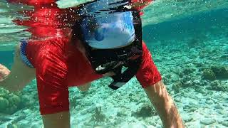 Bonaire 2021 Lac Bay Snorkeling [upl. by Kirch485]