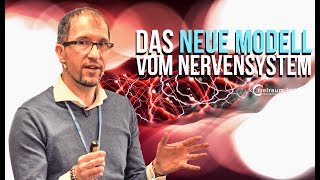 Nervensystem  Warum das alte Modell bei Trauma nicht ausreicht [upl. by Annavaig687]