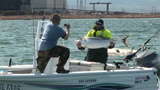 Port Augusta Kingfish Catch Release [upl. by Nnylcaj]