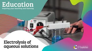 Electrolysis of Aqueous Solutions [upl. by Behlke181]