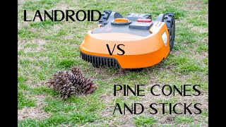 Worx Landroid versus Pine Cones [upl. by Enayd]