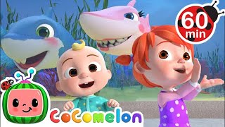 Baby Shark  Cocomelon  Nursery Rhymes  1 HOUR [upl. by Mialliw]