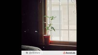 I have a weed plant in my windowsill and its name is Guiseppe  SW1SHERSW33T [upl. by Gaughan311]