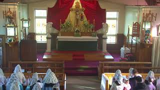 SSPXNZLIVE  Second Sunday after Pentecost  2nd June  Sung Mass [upl. by Johnathan]