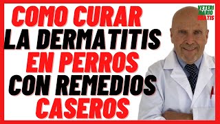 🟣 Como curar y tratar la dermatitis Atópica o Alérgica en Perros 🟣 con Remedios Caseros Naturales [upl. by Sowell]