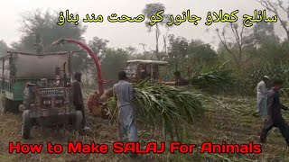 How to make SALAJ for Animals Overallcars viralvideo [upl. by Shugart969]