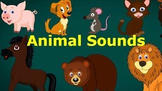 Animal Song For Kids  Animated Nursery Rhymes amp Songs For Kids [upl. by Wilma]