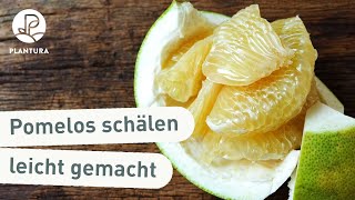 Lifehack Pomelos schälen aufschneiden und essen [upl. by Albie925]