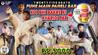 Pune Climate Set Goats at Best Price with Ostovet Free free at Twenty Five Goats I YK Goat Lover [upl. by Ainival]