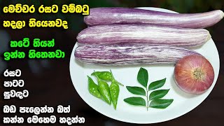 මම හදපු රසම වම්බටු වයංජනය  Brinjal curry  wambatu curry  wambatu Hodi  Athal kitchen recipes [upl. by Drugi]