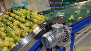 Granadilla fruit sorting machine Gold passion fruit size grader [upl. by Urbanus]