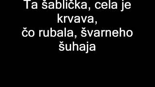 Beste  Ani sa mi robyt nechce lyrics [upl. by Garvy]