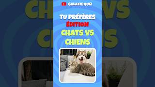 Tu préfères Édition Chats vs Chiens 🐱🆚🐶 shorts tupreferes chats chien [upl. by Atalya]