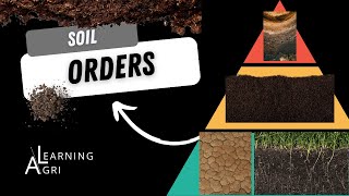 Soil Orders and the Hierarchy of Soil Taxonomy [upl. by Aderf]