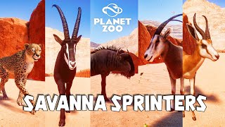 Cheetah Sable Antelope Blue Wildebeest ScimitarHorned Oryx Springbok  Planet Zoo Animal Race [upl. by Nicoli501]