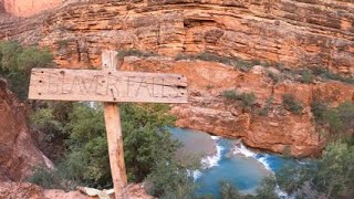 Havasupai Mooney Beaver and Havasu Falls [upl. by Birck]