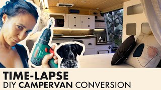 DIY Campervan Conversion VW T4 Full timelapse [upl. by Dlanod860]