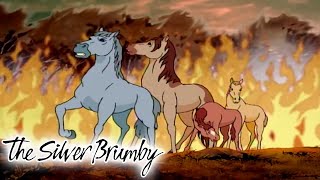 The Silver Brumby  Fire From All Sides  Full Episode  Videos For Kids  Videos For Kids [upl. by Raman]