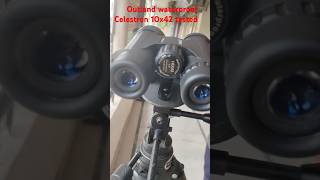 testing celestron 10x42 outland binoculars in field waterproof 9899212222 9560687095 shorts [upl. by Devol]