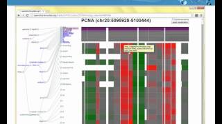 Utilizing genomics for proteomics data analysis David Fenyo NYU Medical School December 3 2014 [upl. by Buke]