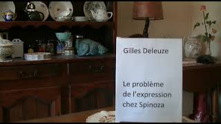 Gilles Deleuze Le problème de lexpression chez Spinoza [upl. by Bocock945]