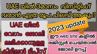 3month visit visa expense in UAE 2023 living cost in Dubai for job seekers in malayalamuae visa [upl. by Jojo]