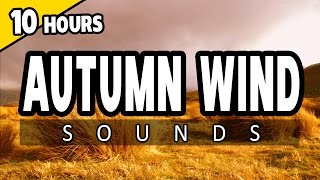 🎧 AUTUMN WIND  Wind Storm Sounds  10 HOURS  Ambience SLEEP SOUNDS for RELAXATION Meditation [upl. by Itsim]