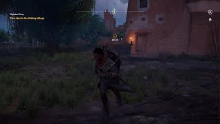 Assassins Creed Origins Phylakes Prey Completed [upl. by Barney91]