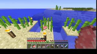 ITEM DUPLICATION GLITCH Singleplayer amp Multiplayer ALL Minecraft 19 [upl. by Kan907]