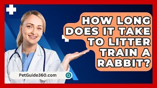 How Long Does It Take to Litter Train a Rabbit  PetGuide360com [upl. by Kearney362]