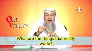 What are the things that nullify my ablution wudu  Sheikh Assimalhakeem [upl. by Mairam]