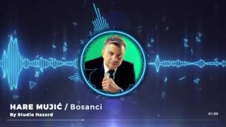 Hare Mujić  Bosanci Official Audio 2016 [upl. by Enneira]