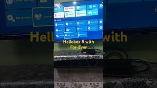 hellobox 8 Forever Update [upl. by Broadbent]